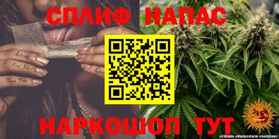 сатива Кумертау