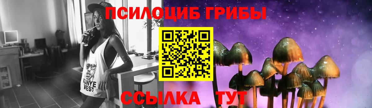 Урус-Мартан  Псилоцибиновые грибы Magic Shrooms  Вход с VPN 